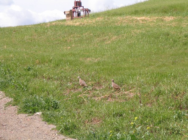 Picture 0167.jpg